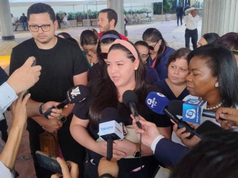 Representantes de los médicos se reunieron ayer con diputados en el Congreso.