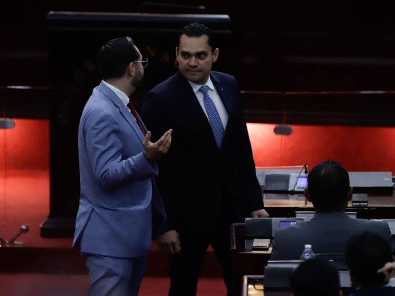 Diputados Jorge Cálix y Tomás Zambrano en el Congreso Nacional.