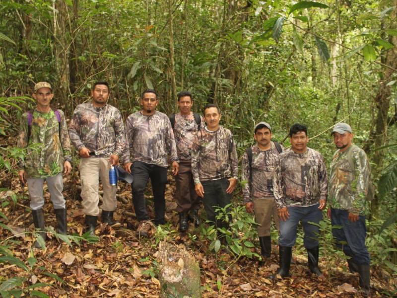 Entre neblina y pendientes empinadas, los guardabosques instalan cámaras y resguardan el bosque nuboso, convirtiéndose en la primera línea de defensa contra la caza furtiva y la degradación del hábitat.