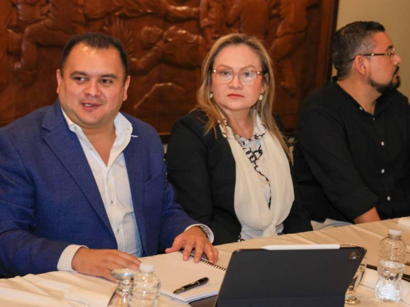 Sulmy Ortez, secretaria de Gobernación, Justicia y Descentralización, junto a Luis Castro, secretario privado de la Presidencia.