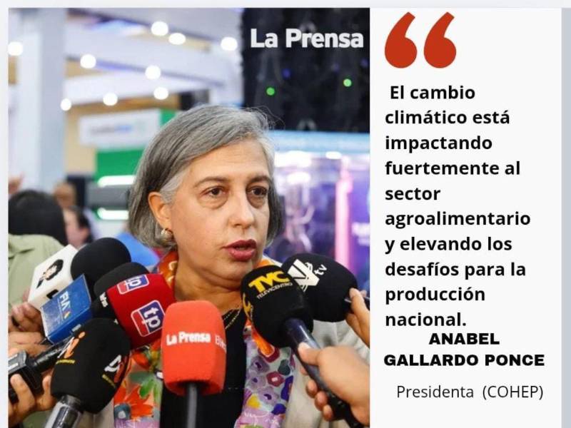 Productividad y empleo, retos para Honduras ante aumento del costo de vida