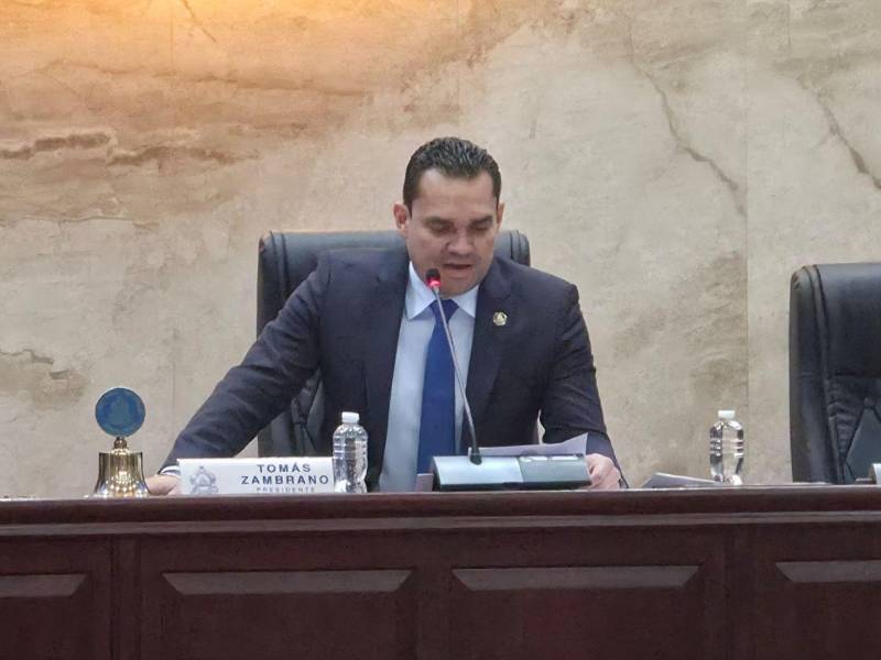 Presidente del Congreso Nacional, <b>Tomás Zambrano.</b>