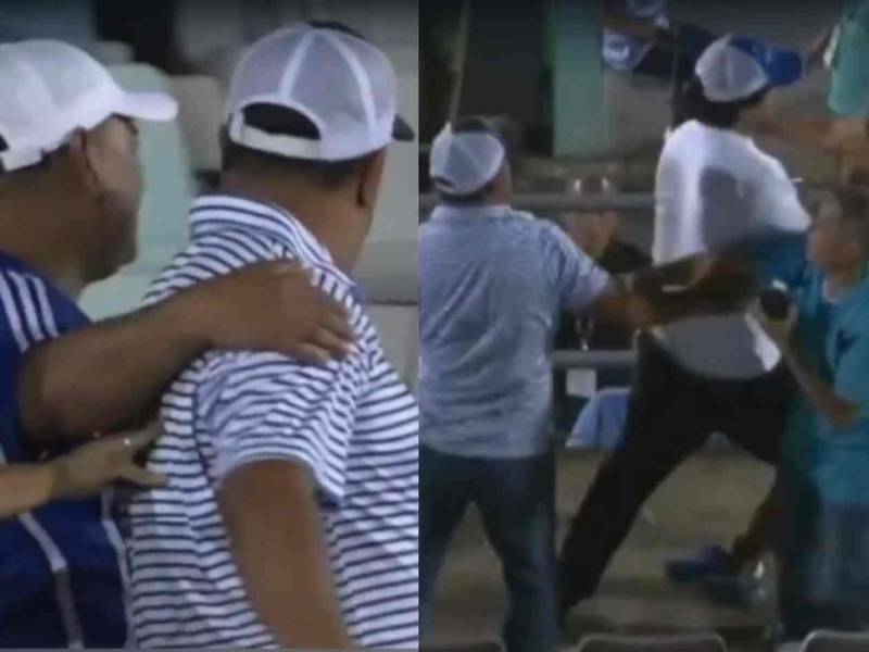 Javier Cruz y un aficionado protagonizaron una terrible escena en pleno partido.