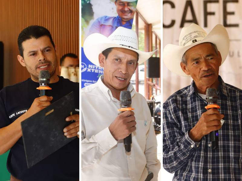 Los productores Oscar Armando Tábora, José Isabel Mendes y Expectación Campos agradecieron la asesoría técnica recibida por técnicos de Volcafé en Honduras.