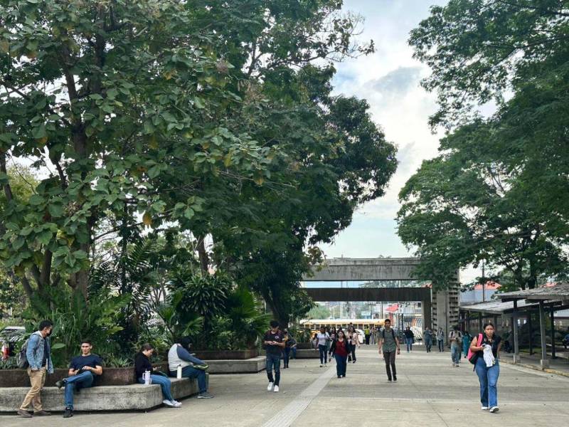 Para los estudiantes, estas medidas representan un alivio económico y una oportunidad para continuar sus estudios.