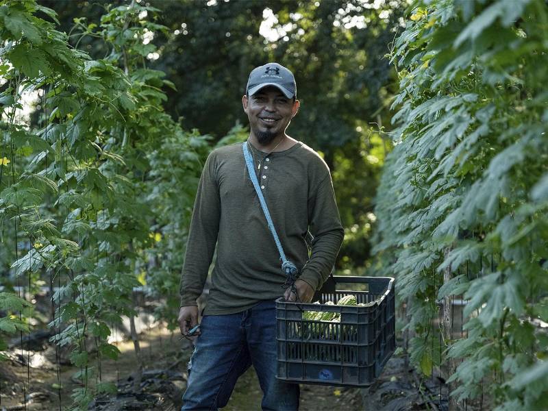 Más de 70,000 productores han recibido información clave sobre manejo de suelos y fertilización.
