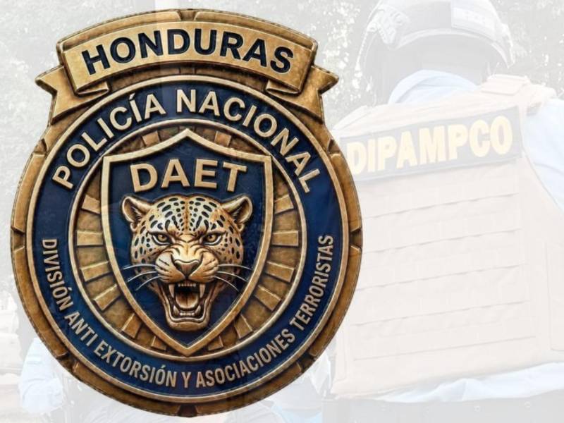 En páginas oficiales en redes sociales, eliminaron la antigua identidad gráfica de Dipampco y compartieron el nuevo escudo de Daet, con un tigre rugiendo en su centro.