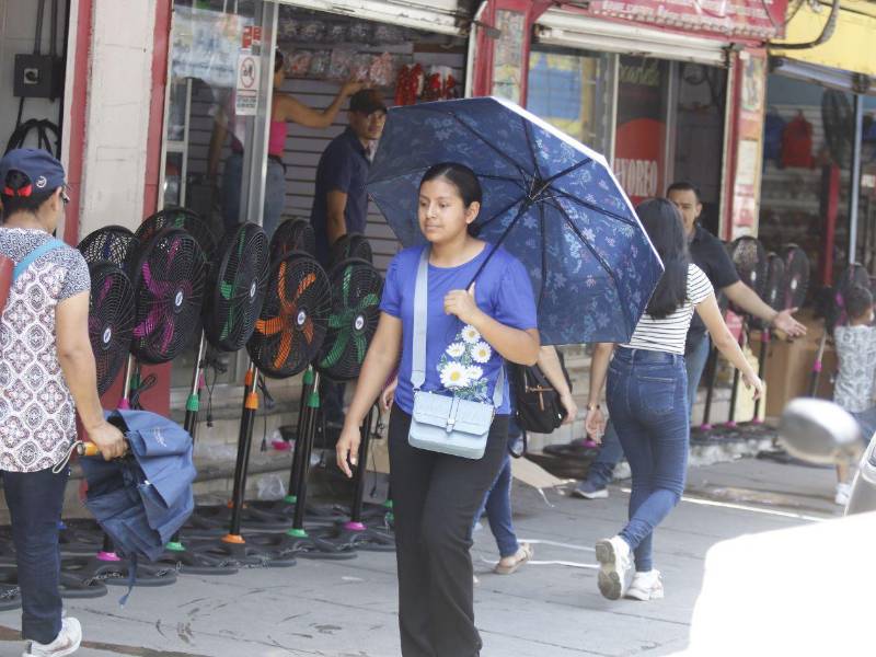 La radiación directa eleva la temperatura percibida, lo que puede hacer que el ambiente se sienta aún más sofocante. Los sampedranos recurren a la sombrilla para poder soportar el efecto del sol.