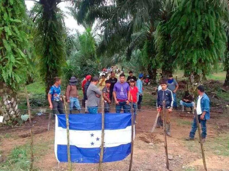 La disputa por tierras en el Bajo Aguán, marcada por invasiones, desalojos y enfrentamientos, volvió a quedar bajo tensión tras una nueva masacre que enluta a campesinos y trabajadores de fincas en Colón.