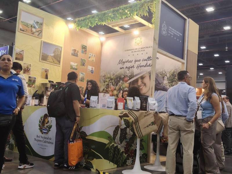 El stand de Honduras captó la atención de los visitantes de World of Coffee Panamá 2026, donde las productoras dieron a conocer la calidad del café nacional y avanzaron en su objetivo de abrir nuevos mercados internacionales.