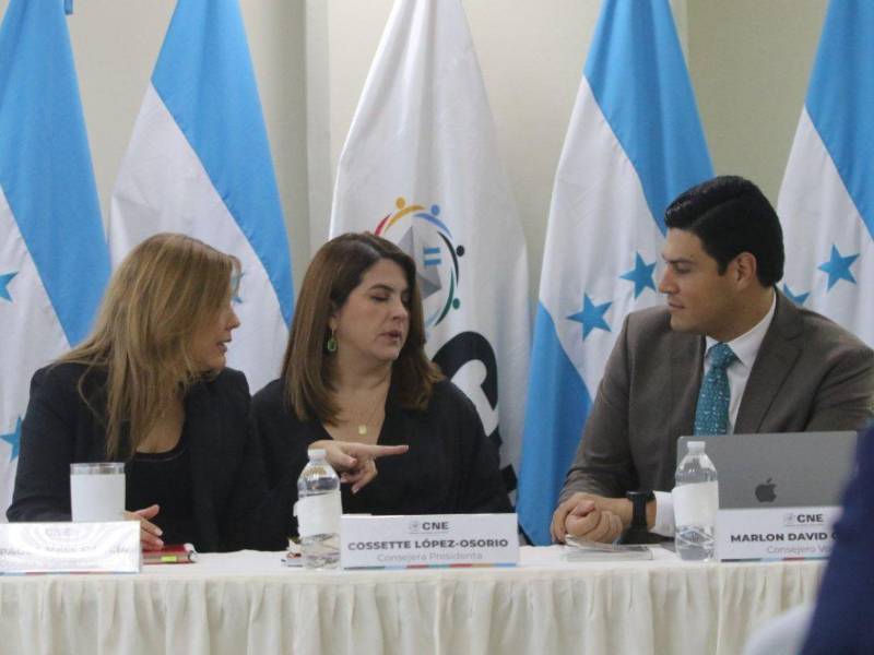 La ley permite al CNE declarar los resultados incluso si Marlon Ochoa no integra el pleno.