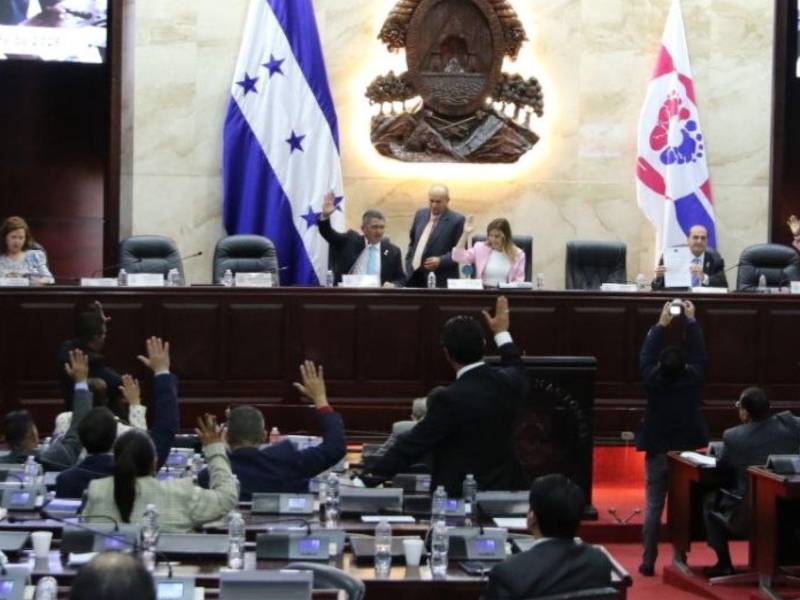 La socialización de la iniciativa se desarrolló en cinco jornadas de trabajo en el Congreso Nacional, durante las cuales se recibieron más de 155 intervenciones de actores clave.