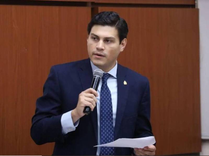 Marlon Ochoa es el consejero secretario del Consejo Nacional Electoral, representando al partido Libertad y Refundación.