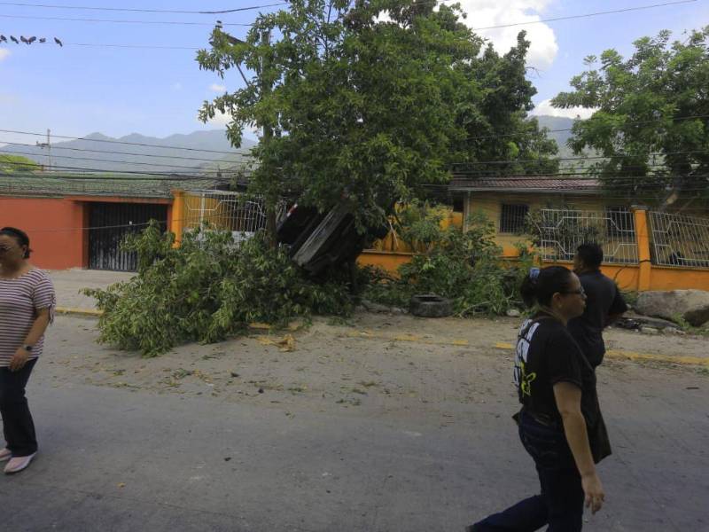 Las autoridades señalaron que el conductor responsable del accidente ocurrido el fin de semana en San Pedro Sula manejaba en estado de ebriedad.