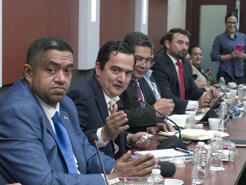 La Comisión de Presupuesto del Congreso inició este viernes el análisis del Presupuesto General 2026.