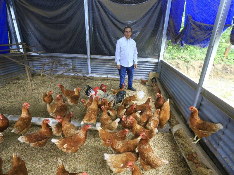 La organización también cuenta con una granja avícola con más de 200 gallinas, cultivos de hortalizas y un nuevo proyecto de cultivo de tilapia.