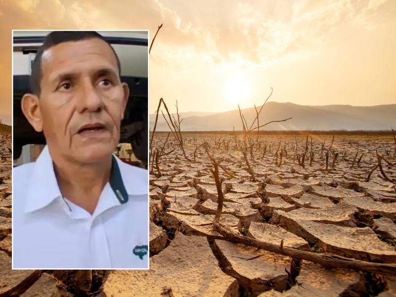 César Núñez, alcalde de San Antonio de Flores, Choluteca dijo que la falta de agua y alimento ha provocado la muerte de más de 100 cabezas de ganado desde febrero. Muchos productores están vendiendo sus reses ya que no hay pasto para alimentarlos.