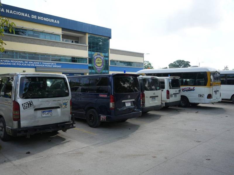 Agentes de la DNVT resguardan las unidades de transporte decomisadas en San Pedro Sula.