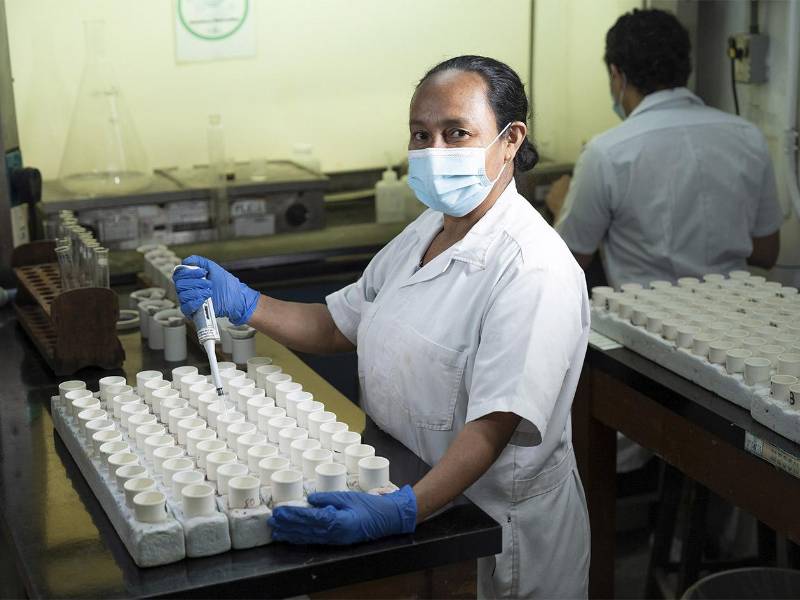 La alianza entre USAID y FHIA fortalece la agricultura sostenible en Honduras, beneficiando a miles de productores con nuevas tecnologías y capacitación técnica.