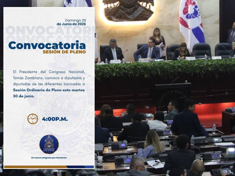 Diputados fueron citados para sesionar el martes 30 de junio y miércoles 1 de julio, pese al receso legislativo, para discutir exclusivamente las reformas al subsector eléctrico.
