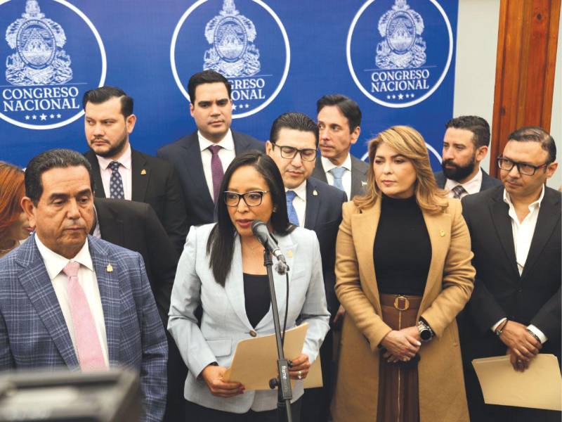 La Comisión Especial de Selección es la encargada de recibir los documentos de los postulantes y hacer las audiencias públicas, quien entregará un listado de los mejores perfiles al pleno del CN.