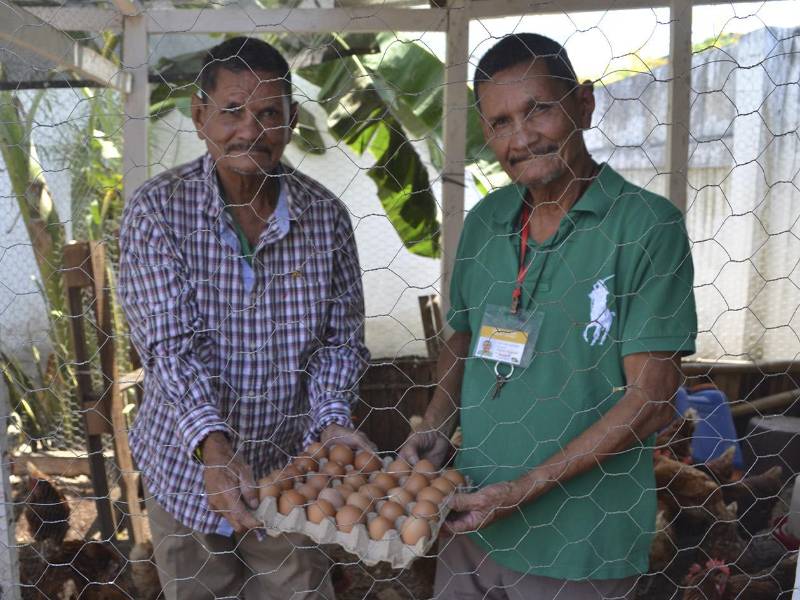 Los hermanos José Israel y José Ismael Flores, son los encargados del cuidado de las gallinas y de la producción huevos en la Casa Hogar.