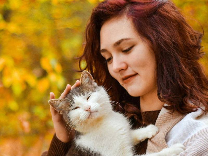 Disfrutando de la compañía de un gato, las personas encuentran calma, cariño y alegría en cada momento juntos.