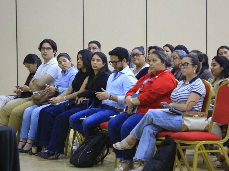 La capacitación tuvo como propósito presentar las nuevas herramientas para realizar gestiones digitales de licencias de Representantes, Distribuidores y Agentes, así como abordar temas relacionados con RD-CAFTA y la actualización del régimen ZOLI.