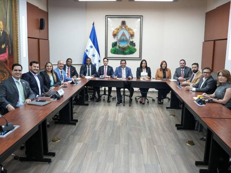 Los integrantes de la Comisión Especial de Selección serán los encargados de hacer los filtros para llevar los mejores candidatos al CNE y TJE al pleno del Congreso Nacional.