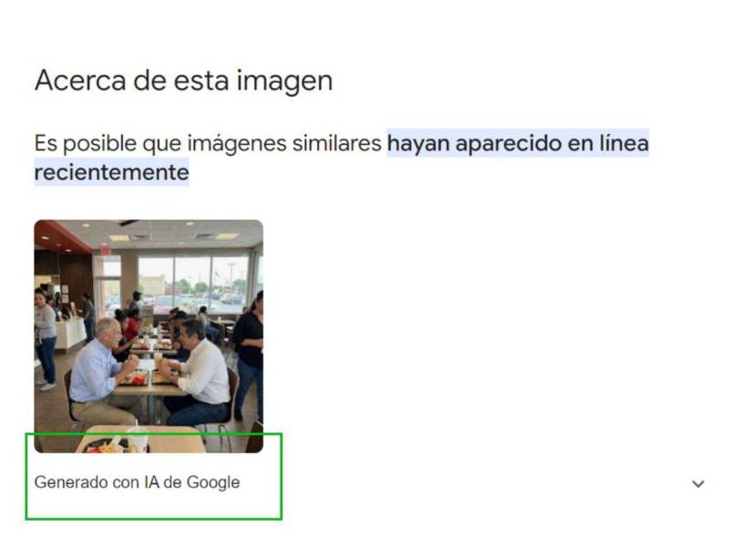 Captura de pantalla a la sección de acerca de esta imagen en Google.