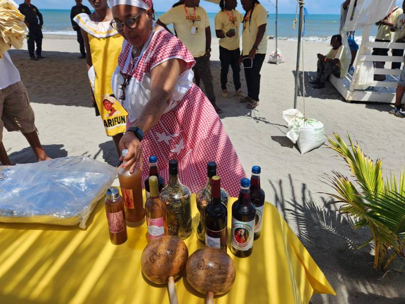 Una matrona garífuna exhibe la rica herencia culinaria de su pueblo; sin embargo, la transmisión de estas recetas milenarias se ve amenazada a futuras generaciones por la falta de recursos y políticas de fomento.