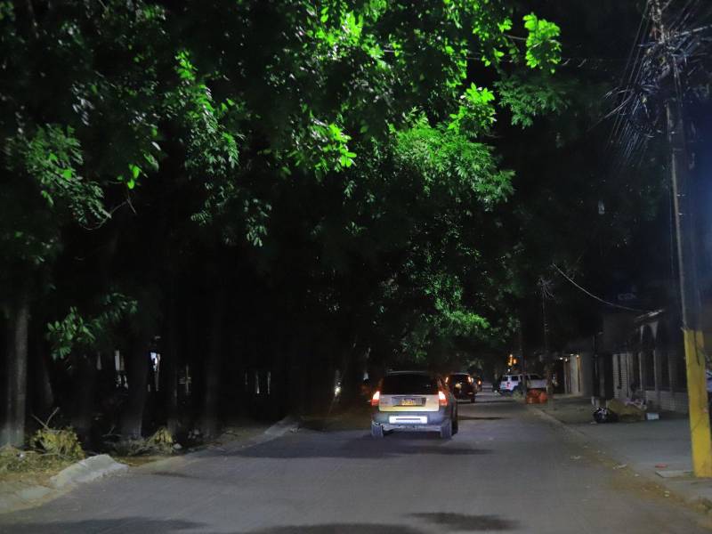 Aunque el bulevar Jardines, que conecta con la colonia Universidad, cuenta con alumbrado público, las ramas de los árboles obstruyen la luz de las luminarias, reduciendo significativamente la visibilidad durante la noche.