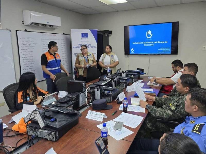 Representantes de Copeco y miembros del Sinager coordinan taller de estrategias inclusivas para personas con discapacidad ante situaciones de emergencia.