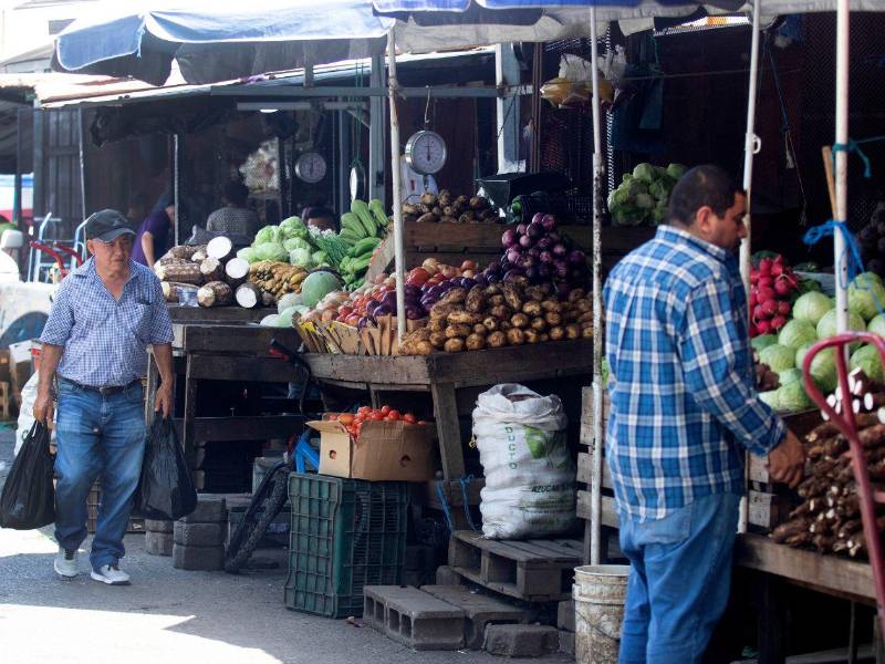 Los vendedores prevén que el costo de las verduras podría variar nuevamente, dependiendo de la oferta agrícola y del ingreso de productos a los mercados.
