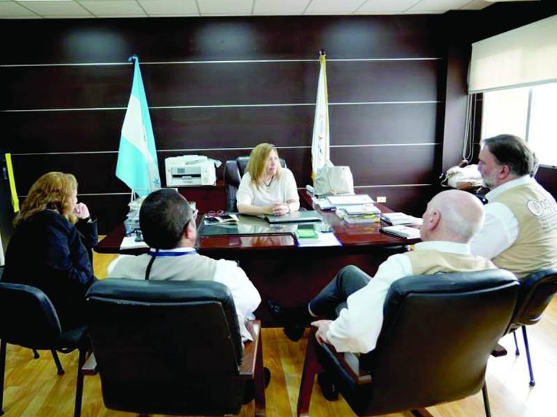 La misión se reunió con Ana Paola Hall.