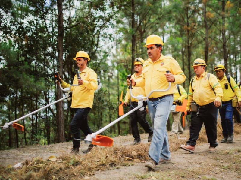 El equipo de brigadistas desarrolla de manera permanente labores de prevención, control y combate de incendios forestales en El Merendón.