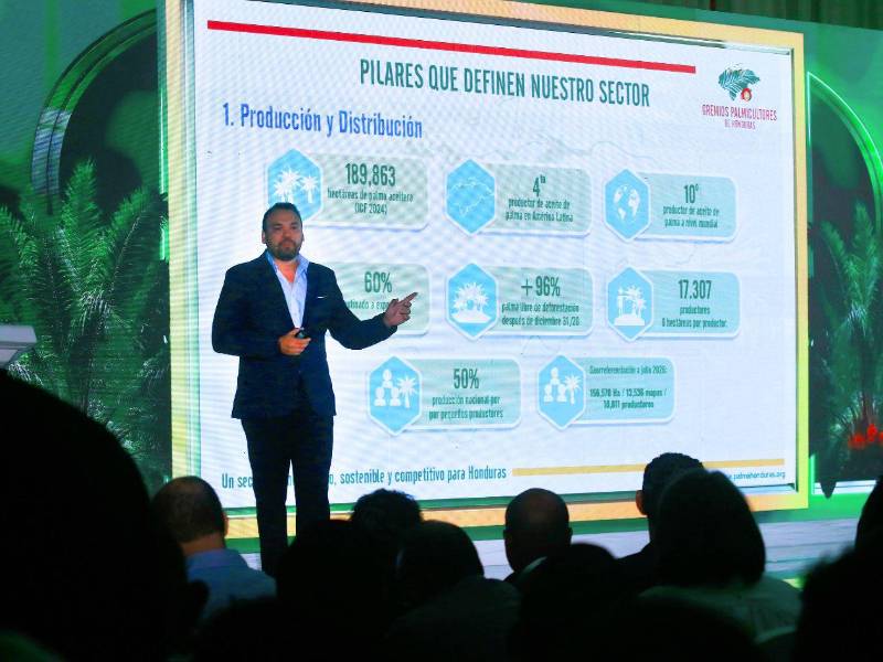Allan Maradiaga, director de Gremios Palmicultores.