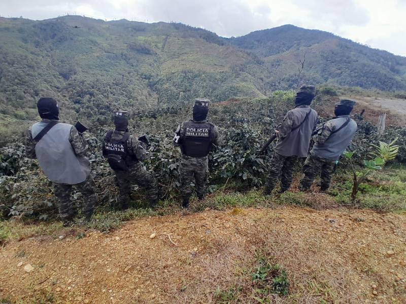 Militares del Segundo Batallón Ambiental han sido asignados a proteger el bosque en el litoral Atlántico y constantemente realizan operativos.