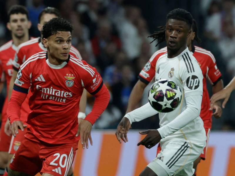 Real Madrid vs Benfica, EN VIVO hoy en la Champions League: hora y dónde ver