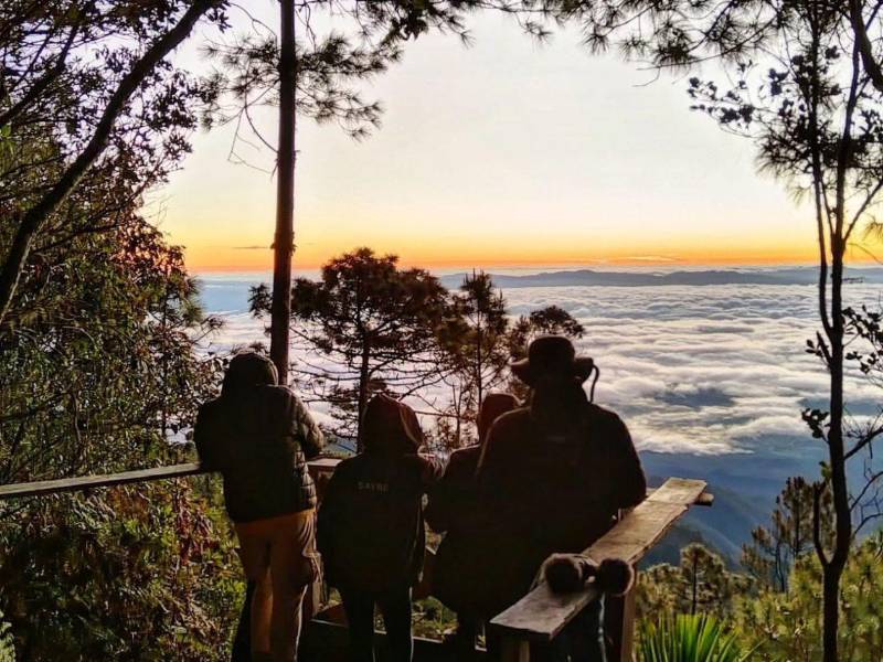 Rodeado por la majestuosidad del Parque Nacional Montaña de Celaque (foto) y el imponente Cerro Puca, Vista del Río ofrece un entorno natural único en el occidente de Honduras, ideal para quienes buscan naturaleza, paisajes de montaña y turismo de descanso en la Ruta Lenca.