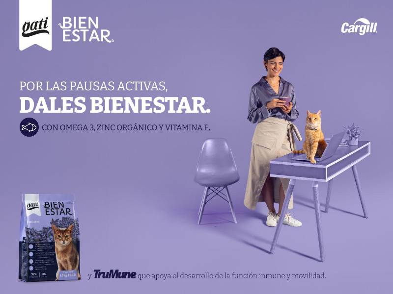 Bienestar para gatos, encuéntrala en presentaciones para gatitos y adultos.