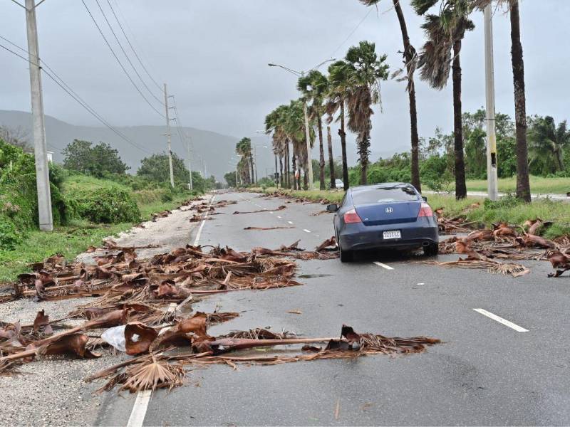 Entre octubre y noviembre de 2025, algunos países del Caribe, como Jamaica, resultaron afectados por lluvias que causaron desprendimiento de ramas de árboles, inundaciones y destrucción parcial de viviendas.