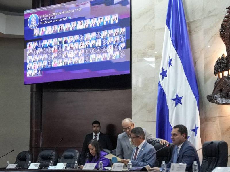 El nuevo portal de gestión legislativa permitirá consultar perfiles, iniciativas, mociones, comisiones, asistencia y votaciones de los diputados, con el fin de acercar la información parlamentaria a la ciudadanía.