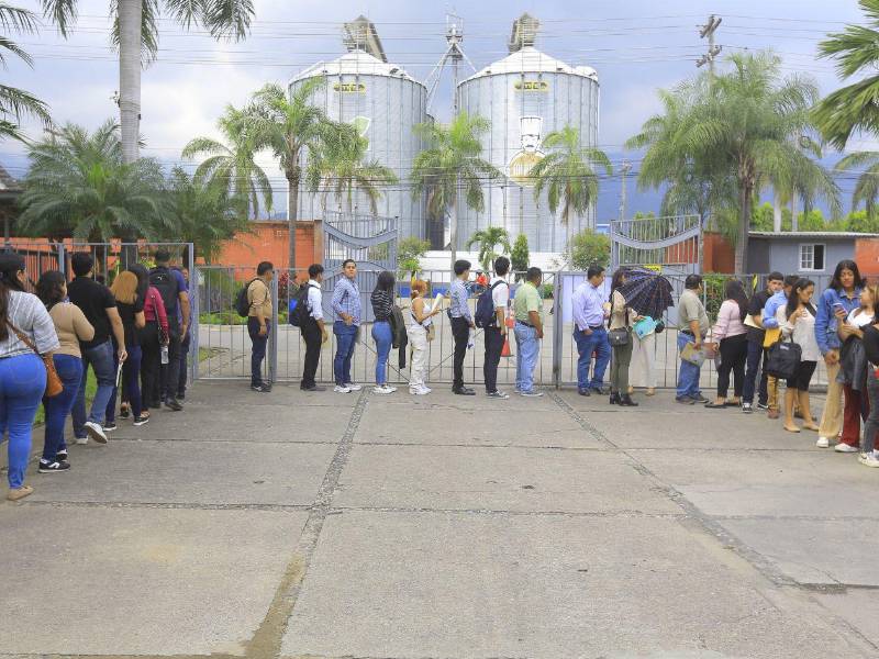 Hondureños se forman para participar en la primera feria de empleo del 2026.