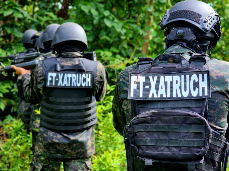 La operación fue ejecutada por la Fuerza de Tarea Conjunta <b>Xatruch</b>, en apoyo a la Dirección de Lucha Contra el Narcotráfico (<b>DLCN</b>).