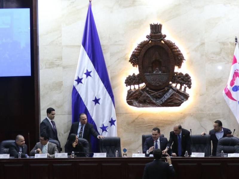 El próximo lunes el CNA entregará formalmente el informe a la presidenta del Consejo Nacional Electoral, Ana Paola Hall, y al presidente de la comisión electoral del Congreso Nacional, Antonio Rivera Callejas.