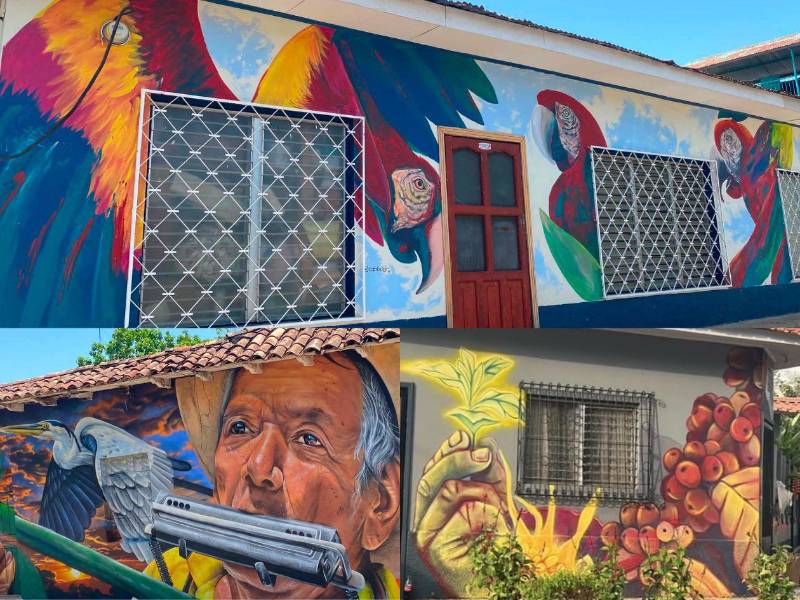 Un total de 30 murales llenos de color, historia y creatividad ahora embellecen las calles de San Francisco de Yojoa, tras la culminación del I Festival de Muralismo Arte y Colores, un evento que reunió a artistas de Sudamérica y Honduras para convertir al municipio en un nuevo referente del turismo cultural.