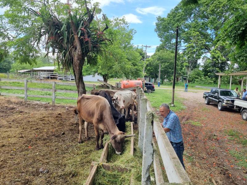 La agronomía y agroindustria del litoral Atlántico será beneficiada con la creación de los centros experimentales de investigación cientifica.