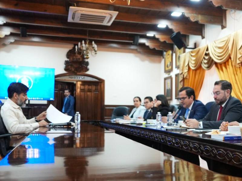 Comparescencia de Johel Zelaya ante la comisión especial nombrada en el marco de su juicio político.