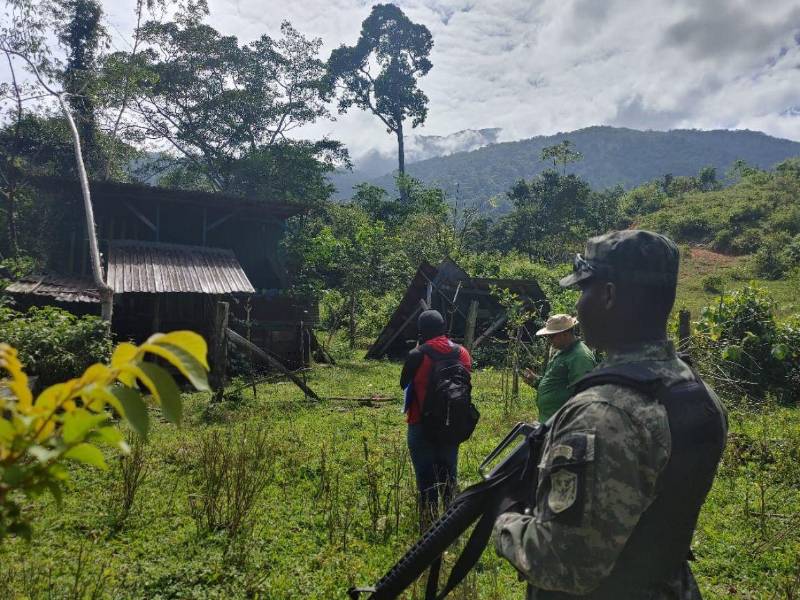 Autoridades ambientales protegen subcuenca de Danto.